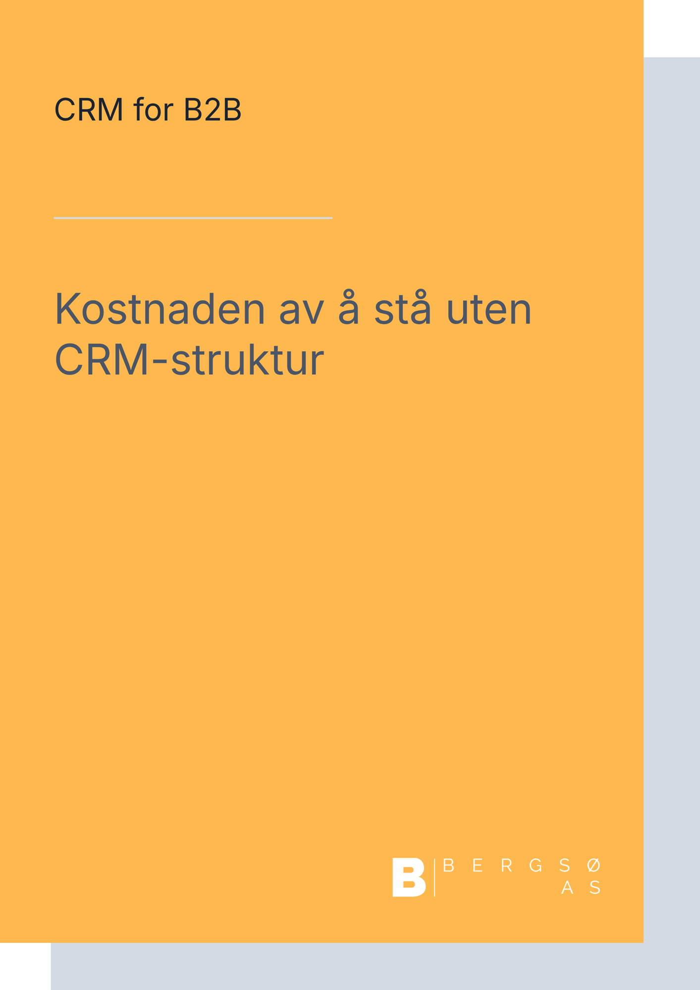 Downloadable Resource - Bergsø Konstnaden av å stå uten CRM-struktur