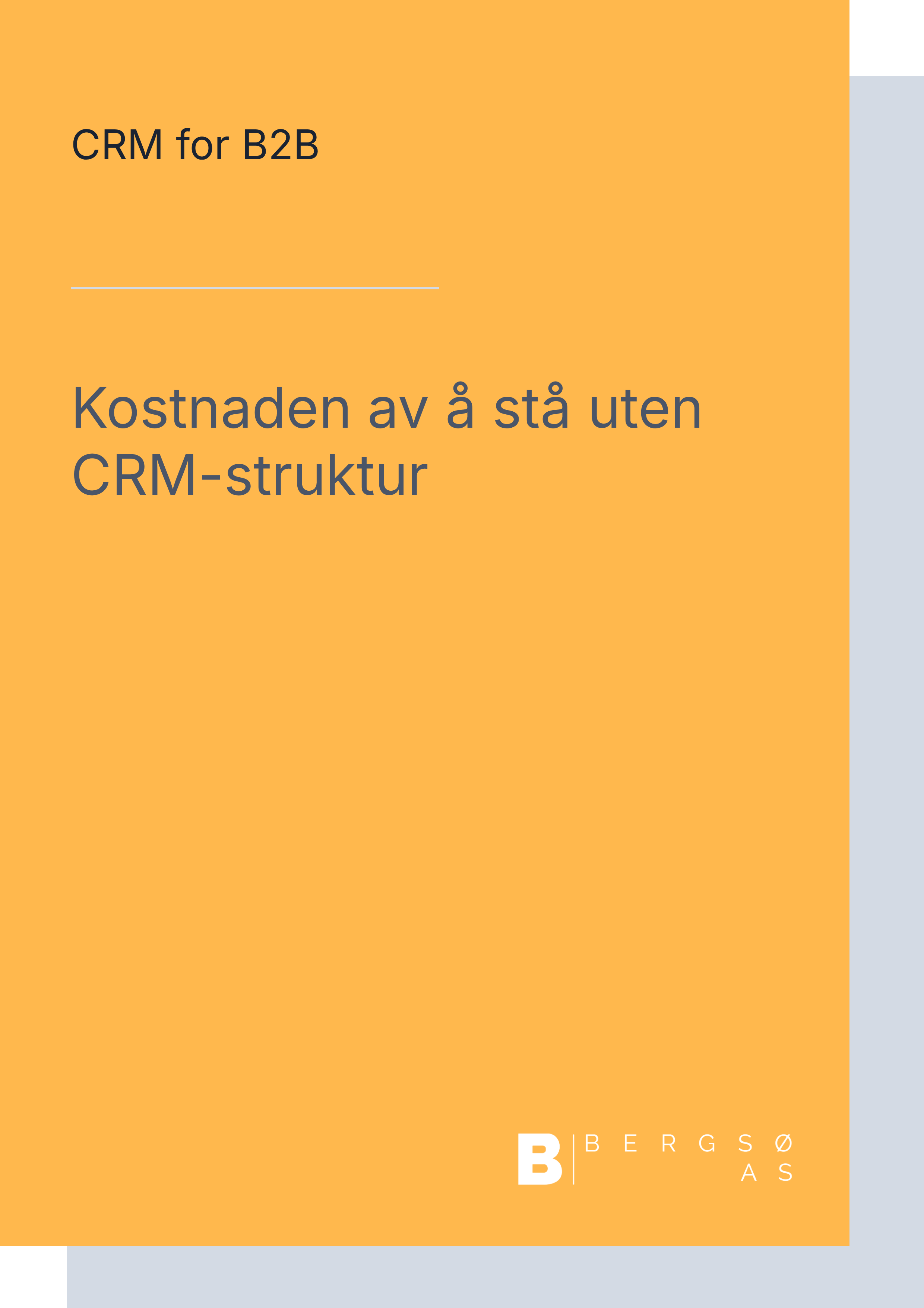 Downloadable Resource - Bergsø Konstnaden av å stå uten CRM-struktur